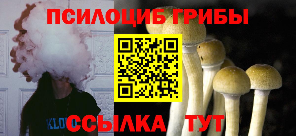 Псилоцибиновые грибы Cubensis  Вход с VPN  Ухта 